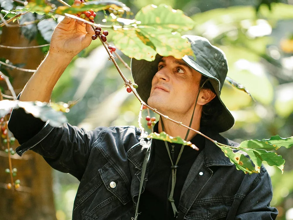 The Potential of Virtual Reality in Agrifood